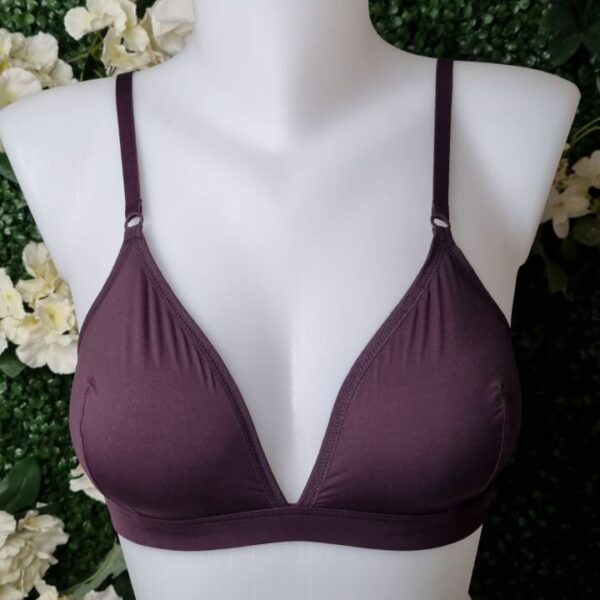 SOUTIEN-GORGE SP0004