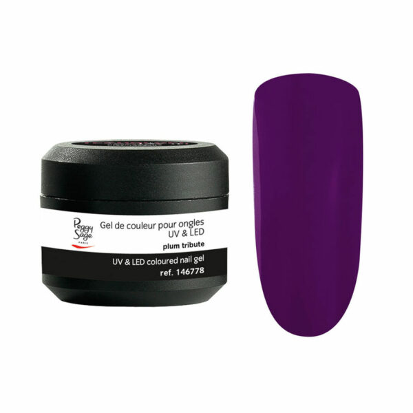 Gel de couleur pour ongles UV & LED Color it  plum tribute